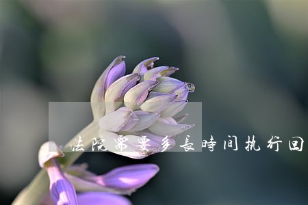 法院需要多长时间执行回转