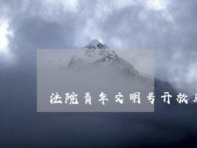 法院青年文明号开放周活动 法院青年文明号开放周活动
