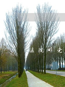 法院非党员工作人员 法院非党员工作人员
