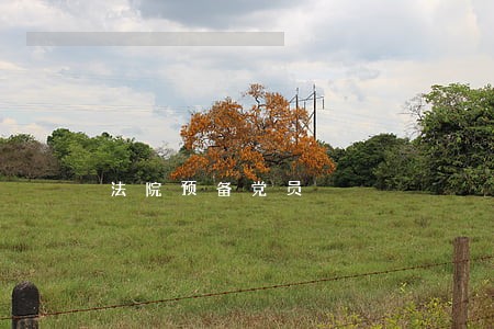 法院预备党员 法院预备党员