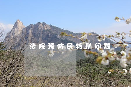 法院预防民转刑问题 法院预防民转刑问题