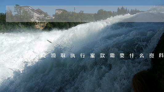 法院领取执行案款需要什么资料 法院领取执行案款需要什么资料