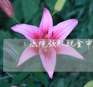 法院领取现金申请怎么写