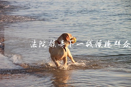 法院领导下一线倾听群众心声 法院领导下一线倾听群众心声