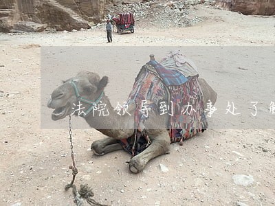 法院领导到办事处了解执行难 法院领导到办事处了解执行难