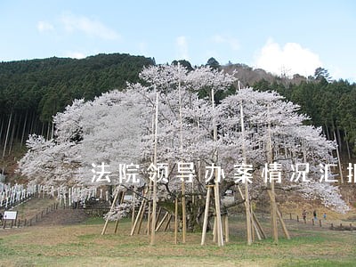 法院领导办案情况汇报 法院领导办案情况汇报