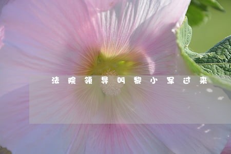 法院领导叫黎小军过来 法院领导叫黎小军过来