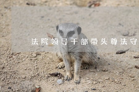 法院领导干部带头尊法守法用法 法院领导干部带头尊法守法用法