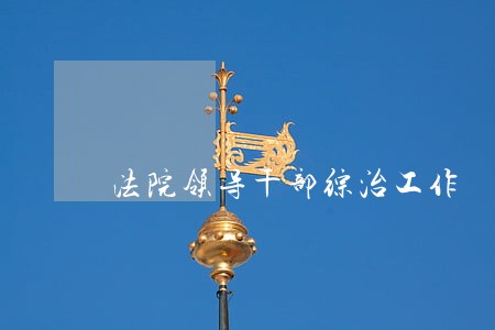 法院领导干部综治工作 法院领导干部综治工作