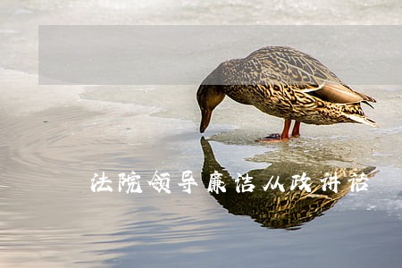 法院领导廉洁从政讲话 法院领导廉洁从政讲话