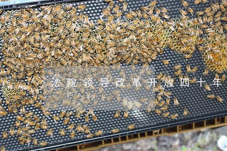 法院领导改革开放四十年心得体会