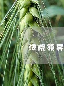 法院领导是否一定要党员 法院领导是否一定要党员