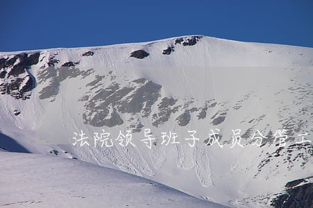 法院领导班子成员分管工作方面 法院领导班子成员分管工作方面