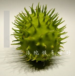 法院领导管好身边人 法院领导管好身边人