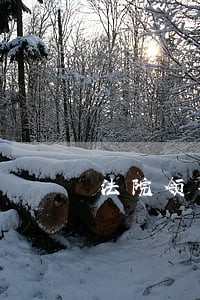 法院领导重视执行难 法院领导重视执行难