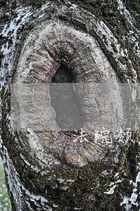 法院领款可以用临时身份证吗 法院领款可以用临时身份证吗