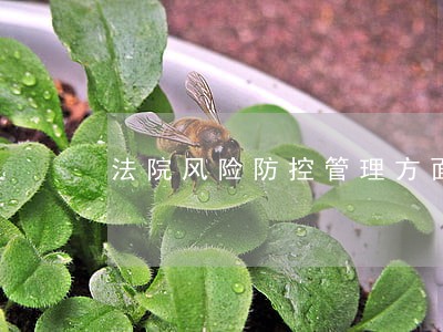 法院风险防控管理方面 法院风险防控管理方面