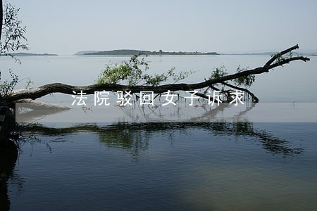 法院驳回女子诉求