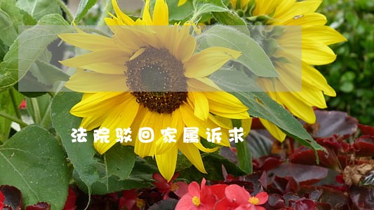 法院驳回家属诉求 法院驳回家属诉求