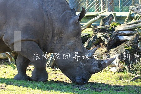 法院驳回异议可以重新申请吗 法院驳回异议可以重新申请吗