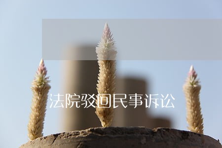 法院驳回民事诉讼