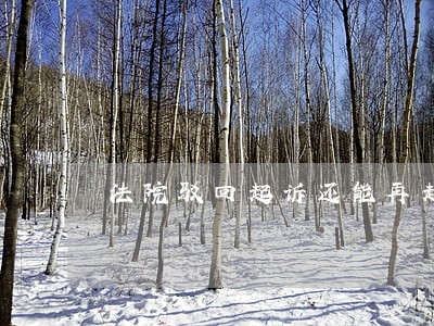 法院驳回起诉还能再起诉拓展阅读