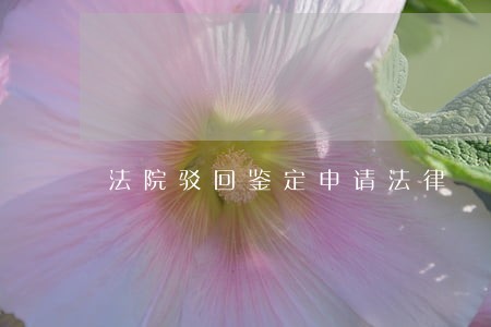 法院驳回鉴定申请法律