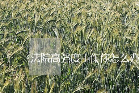 法院高强度工作你怎么办 法院高强度工作你怎么办