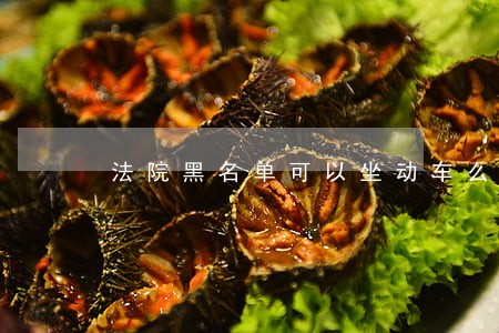 法院黑名单可以坐动车么 法院黑名单可以坐动车么