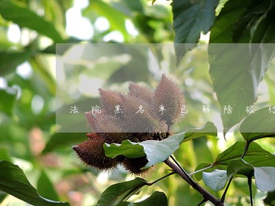 法院黑名单已解除银行怎么还有