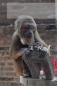 法院黑名单怎么去越南 法院黑名单怎么去越南