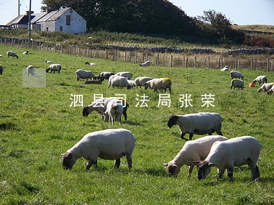 泗县司法局张荣 泗县司法局张荣