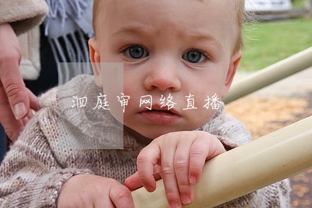 泗庭审网络直播
