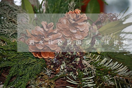 泗水县公安国安在线律师 泗水县公安国安在线律师