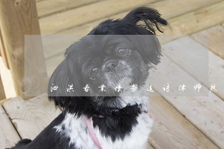 泗洪专业债务追讨律师热线 泗洪专业债务追讨律师热线