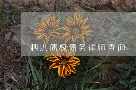 泗洪债权债务律师查询 泗洪债权债务律师查询