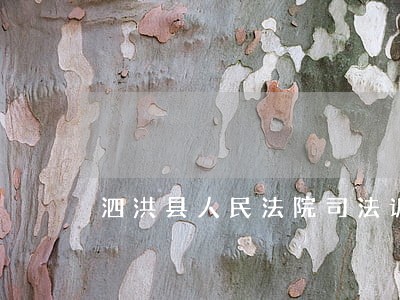 泗洪县人民法院司法诉讼资产拍卖 泗洪县人民法院司法诉讼资产拍卖