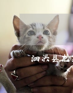 泗洪县龙集司法所孙宝顶疫情 泗洪县龙集司法所孙宝顶疫情