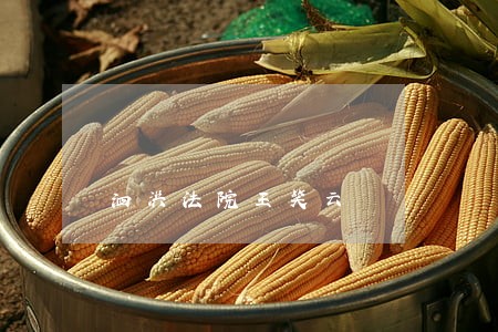 泗洪法院王笑云 泗洪法院王笑云