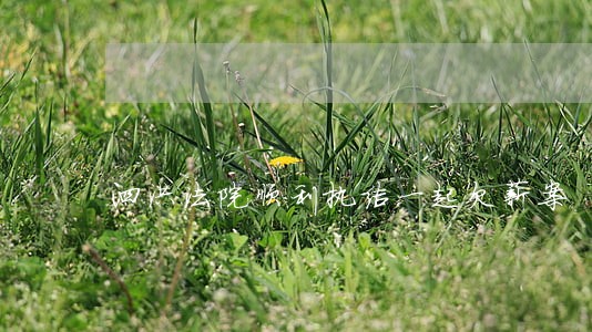 泗洪法院顺利执结一起欠薪案 泗洪法院顺利执结一起欠薪案