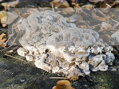 泗门有律师证的律师 泗门有律师证的律师