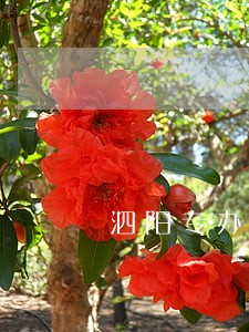 泗阳专办债务律师免费咨询 泗阳专办债务律师免费咨询