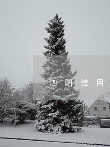 泗阳信用卡逾期会判刑吗 泗阳信用卡逾期会判刑吗