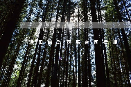 泗阳借款商事合同律师