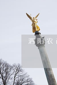 泗阳农商行信用卡逾期 泗阳农商行信用卡逾期