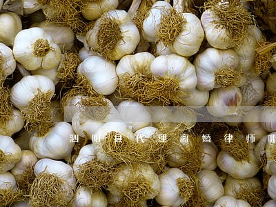 泗阳县代理离婚律师哪里找