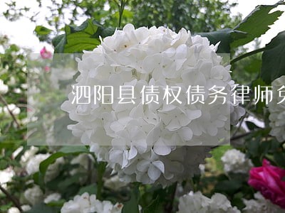 泗阳县债权债务律师免费咨询 泗阳县债权债务律师免费咨询