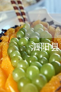 泗阳县可靠的债务律师哪个好 泗阳县可靠的债务律师哪个好
