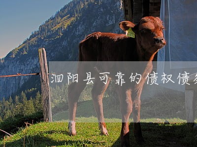 泗阳县可靠的债权债务律师 泗阳县可靠的债权债务律师