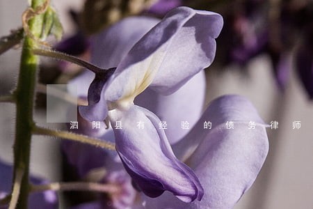 泗阳县有经验的债务律师委托咨询 泗阳县有经验的债务律师委托咨询